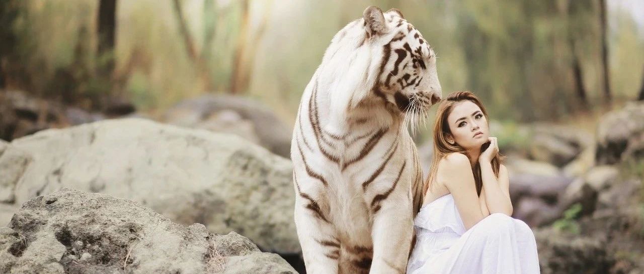 禅与计算机维修艺术之fusion computer虚拟机存储恢复-运维开发故事